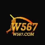 W567 Game APP