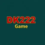 DK222 Game App