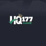 HQ 177 Game App